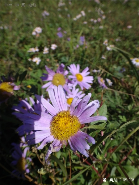 灵山-二帝山-百花山281公里 开比亚迪E6电动车