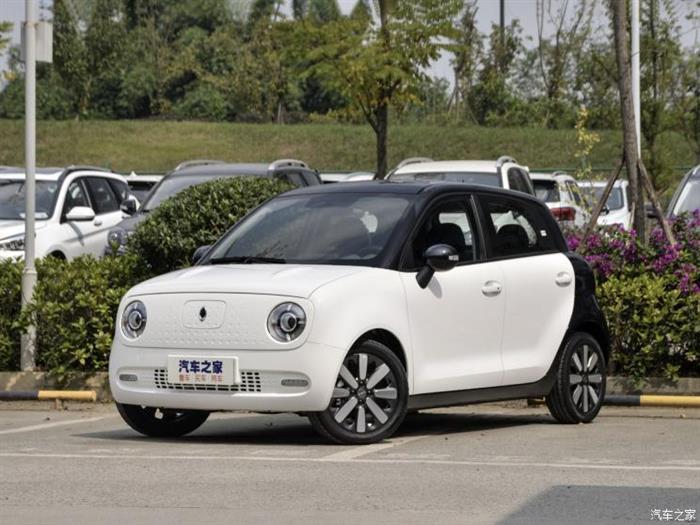 续航251km 欧拉r1将推出更入门版本车型