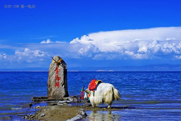 出征！環(huán)青海湖電動(dòng)汽車挑戰(zhàn)賽即將開幕