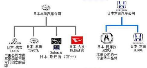 第一电动网新闻图片