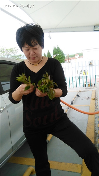 第一電動網(wǎng)新聞圖片