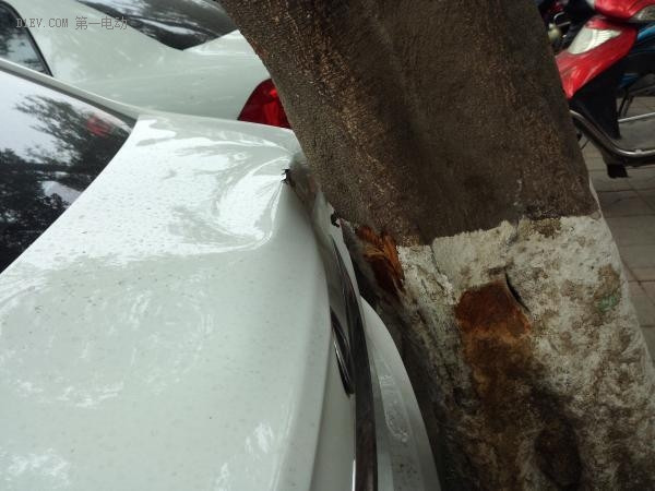 車撞樹上了，以前是看到別人的遭遇，沒想到我也遇到了…..
