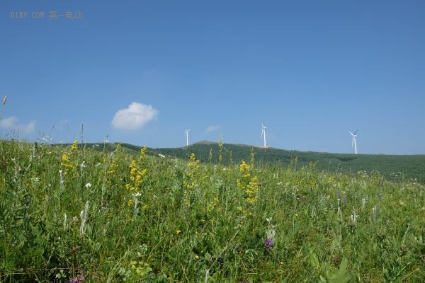 第一電動網(wǎng)新聞圖片