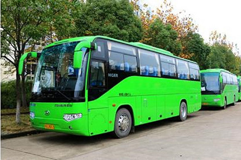 鼓励绿色出行 郑州新增350台纯电动公交车