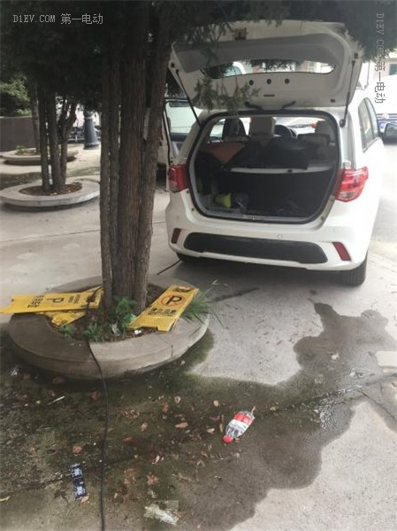 第一電動網新聞圖片