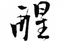 裝睡的人叫不醒！對這些年新能源汽車補貼政策的深刻反思
