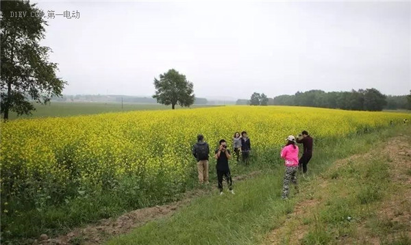 绿色出行，我和草原有个约会