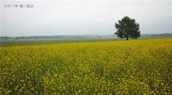 綠色出行，我和草原有個(gè)約會(huì)