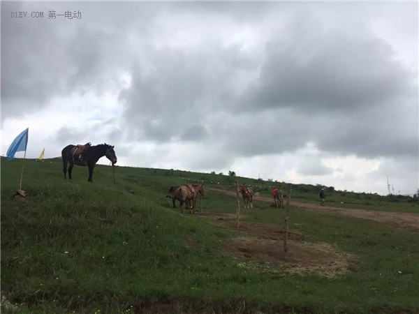 绿色出行，我和草原有个约会