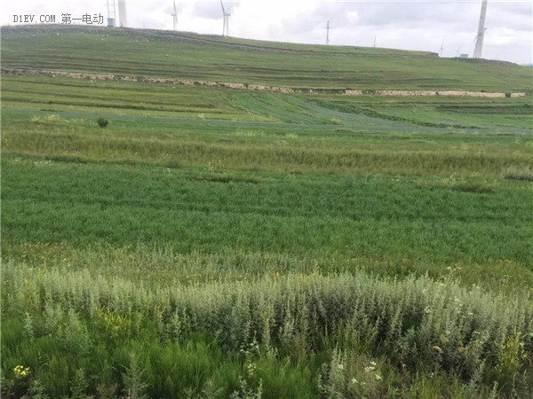 綠色出行，我和草原有個(gè)約會(huì)