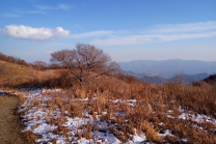 穿林海跨雪原，荒野充電絕處逢生，江淮IEV5單槍匹馬穿越黃草梁