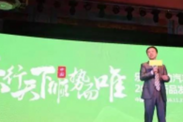 自乐唯开始，低速电动车或将进入资本玩法新时代