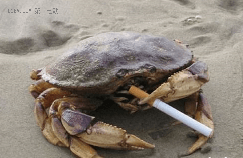 大牛說征文 | 尋找第一批新能源汽車車主，說出你的心聲