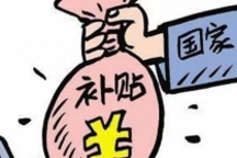 條目細化，補貼新政影響幾何?
