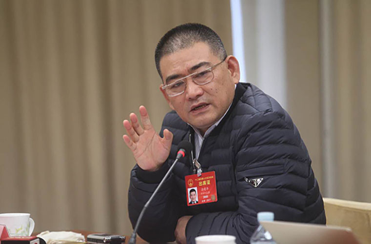 全國(guó)人大代表涂建華：四輪低速電動(dòng)車(chē)管理須盡快走出灰色地帶