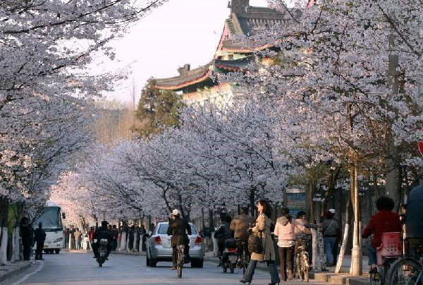 倒計(jì)時(shí)1天丨最全南京展攻略來(lái)了！吃住行游購(gòu)?qiáng)室痪W(wǎng)打盡