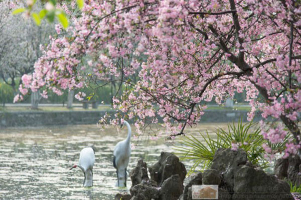 倒計(jì)時(shí)1天丨最全南京展攻略來(lái)了！吃住行游購(gòu)?qiáng)室痪W(wǎng)打盡