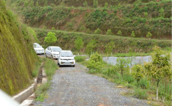 品牌升华之道  《一路雷丁一路茶》盛大启程