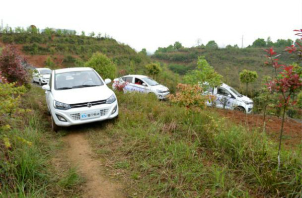 品牌升华之道  《一路雷丁一路茶》盛大启程