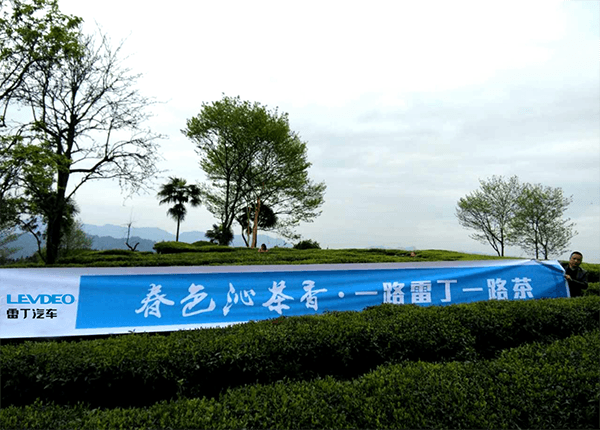 匠心成就  雷丁尋跡中國(guó)之恩施玉露