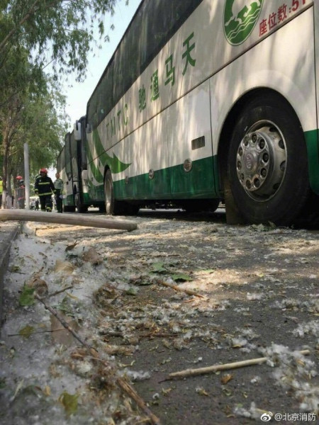 北京蟹島度假村停車場(chǎng)起火 80余輛電動(dòng)大巴燒毀