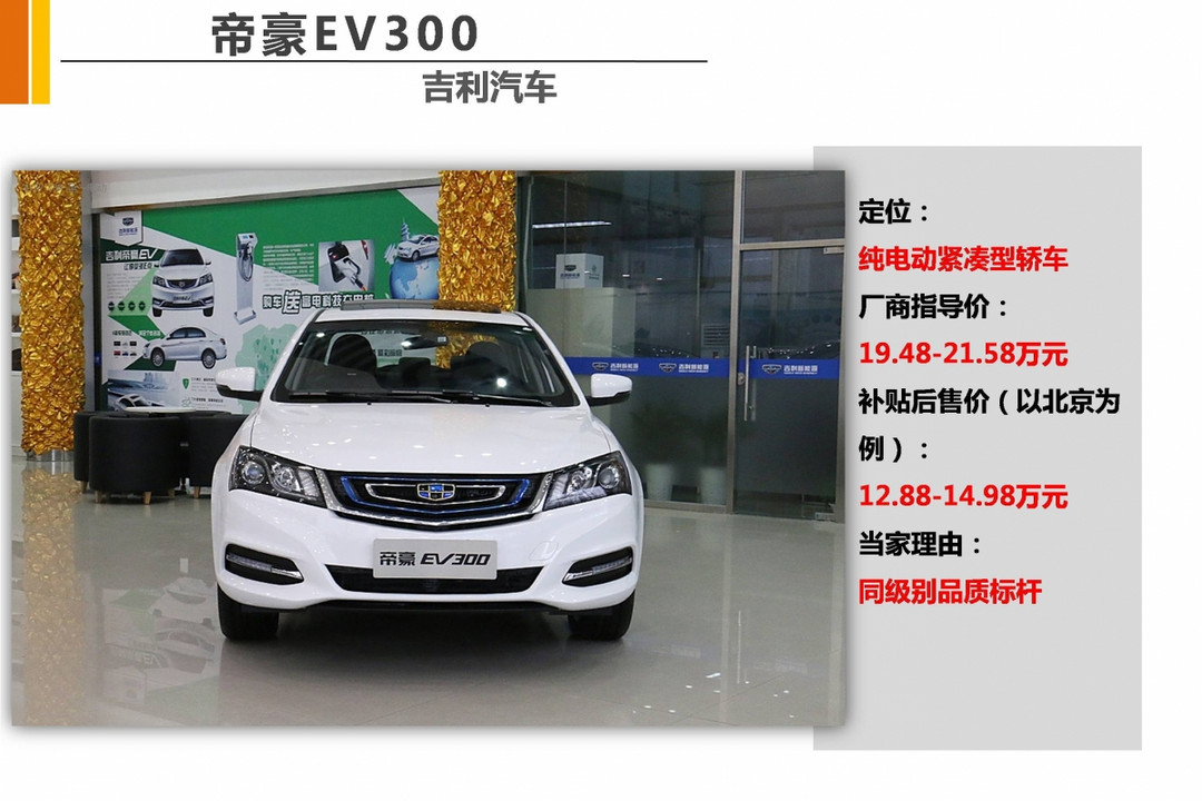 吉利<a class='link' href='http://car.d1ev.com/series-41/' target='_blank'>帝豪EV</a>300