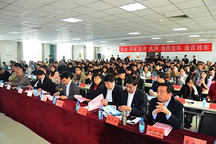 微型电动车市场发展迅速 亟待政策规范