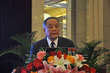 中汽協(xié)副秘書長李萬里：簡化審批流程 實現(xiàn)歸口管理