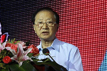 陳清泰：發(fā)揮協(xié)同效應(yīng) 走出新能源汽車產(chǎn)業(yè)困境