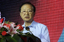 陳清泰：打開低速電動車發展之路
