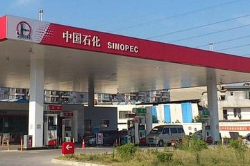 中石化布局電動(dòng)汽車(chē)充電業(yè)務(wù) 廣東公司先行
