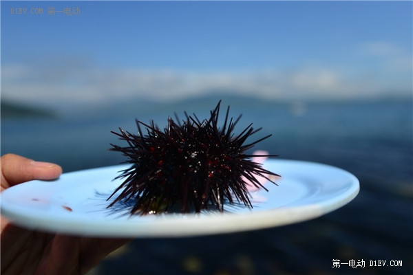 第一電動(dòng)網(wǎng)新聞圖片
