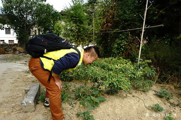 第一電動(dòng)網(wǎng)新聞圖片