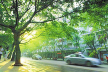 西安对新能源汽车开设审验“绿色通道”