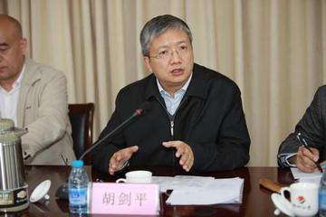 中国城市道路运输协会城市客运分会副理事长 胡剑平
