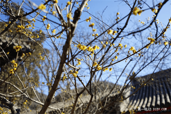  纯电行驶出游 荣威550plug-in探访古刹潭柘寺