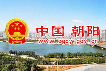 辽宁省朝阳市低速电动车解禁 全国合法上路省市达13个