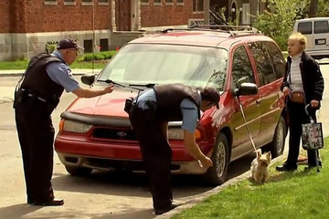 恶搞路人 汪星人逆袭拉动汽车！？