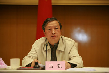 马凯常州调研新能源汽车产业发言全文