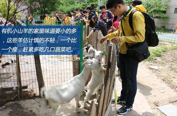 射電望遠鏡/月亮酒店/西湖走馬觀花 上海-湖州-杭州三日游 下集