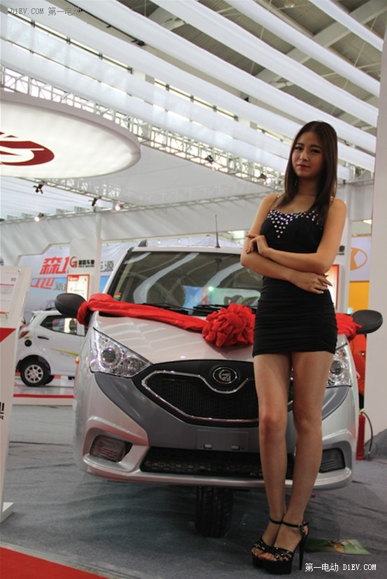 沈陽(yáng)電動(dòng)車展