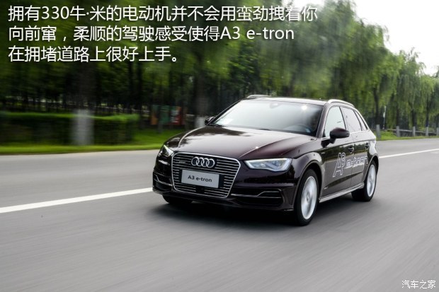 奥迪(进口) 奥迪A3(进口) 2015款 Sportback e-tron