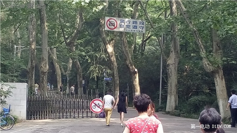 第一电动网新闻图片