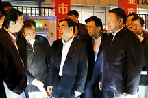 北京新能源汽车要“弯道超车”  市长王安顺视察北汽特来电充电站