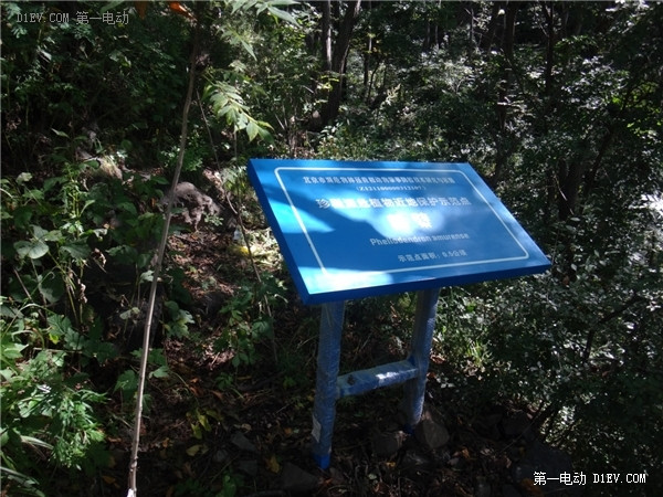 靈山-二帝山-百花山281公里 比亞迪E6山路游記