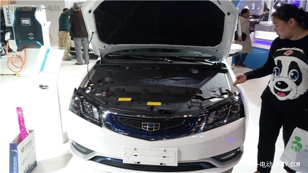 國家級專業(yè)節(jié)能與新能源汽車展，電動汽車愛好者怎么看？