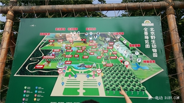 當天往返 開比亞迪E6大興野生動物園親子游