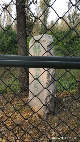 當天往返 開比亞迪E6大興野生動物園親子游