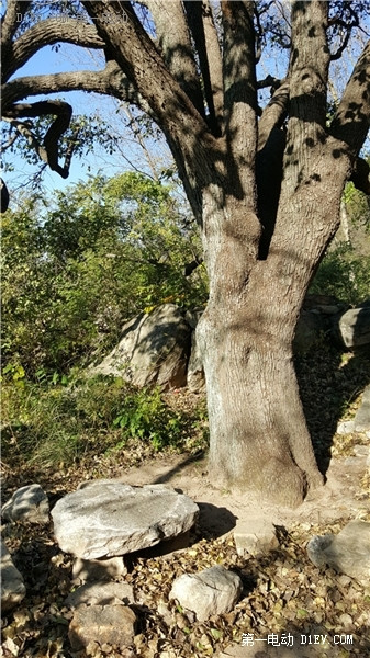 第一电动网新闻图片