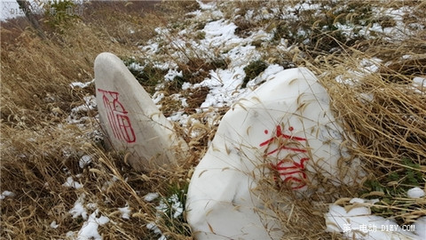 初雪的日子，开比亚迪e6电动车检测一下低温续航